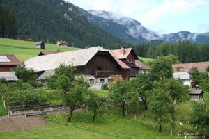 Moosbruggerhof vlg reiter 8659.jpg