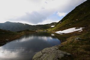 Obere riednersee 65455 2014-06-26.jpg