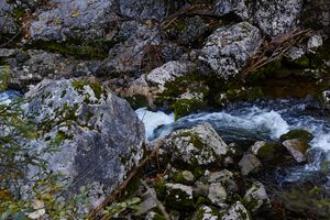 Rettenbach Altaussee-53-2021-10-09-2.jpg