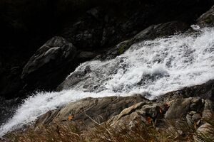 Säusenbach kleinsölk 73607 2014-10-03.jpg