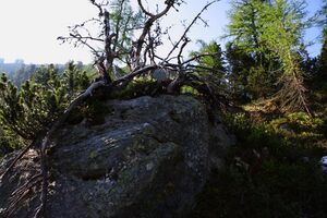 Sabinkar 89952 2015-06-08.jpg