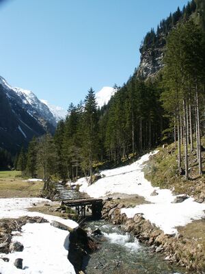 Steinriesenbach 0275 2005-04-29.jpg