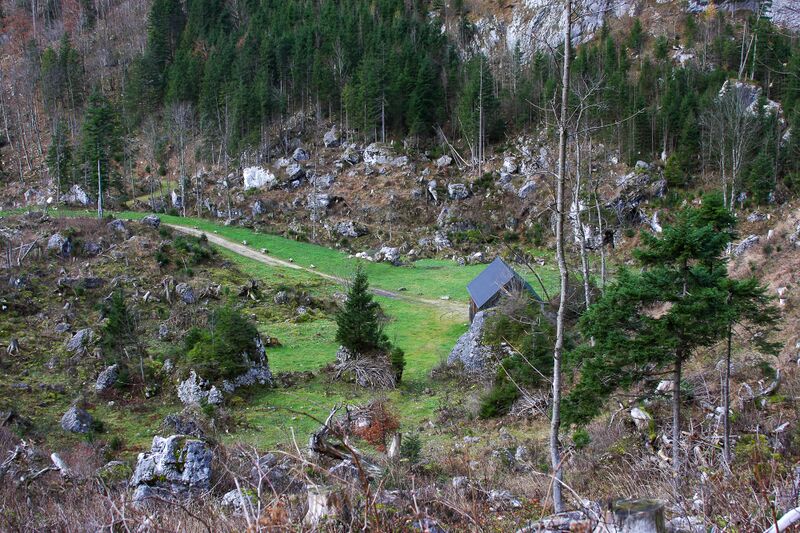 Datei:Stummernalm altausee 79256 2014-11-15.jpg