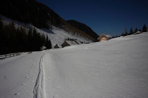 Tuchmoaralm 19880 2016-03-17.jpg