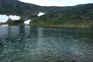 Untere riednersee 65365 2014-06-26.jpg