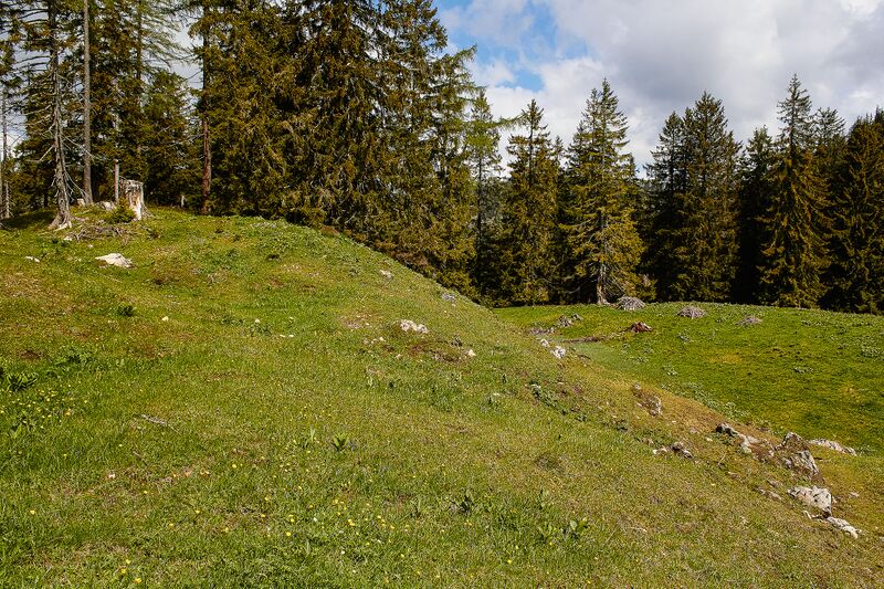 Datei:Ausseer Teltschenalm-100-2020-05-27-4.jpg