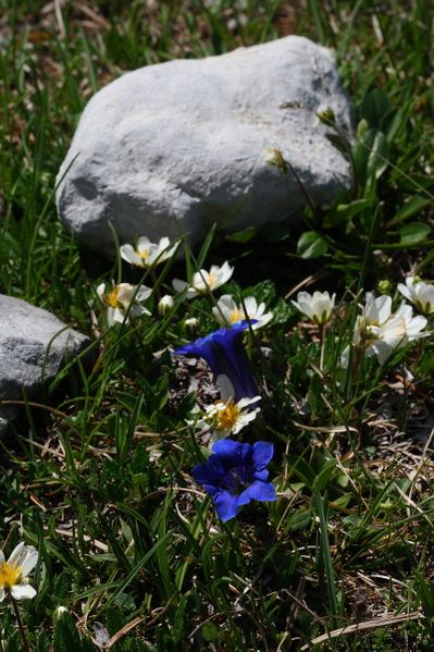 Datei:BrandriedelIMG 7309.jpg