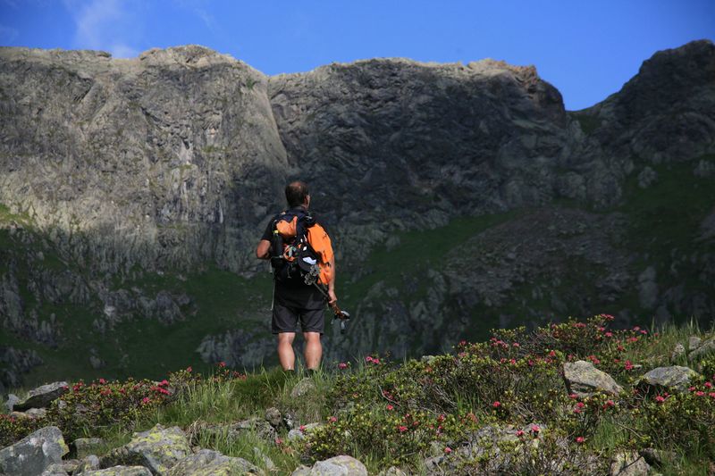 Datei:Fürstkar 799 13-07-13.jpg