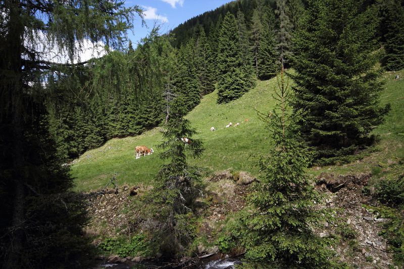 Datei:Gumpental 49549 2017-06-09.jpg