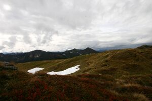 Guschen 20070 2007-09-28.jpg