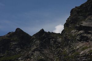 Herzmaierkar 32529 2011-07-06.jpg