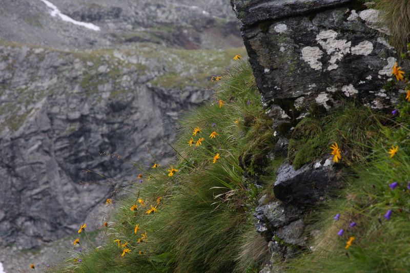 Datei:Im Wildkar 2600 2009-07-25.jpg