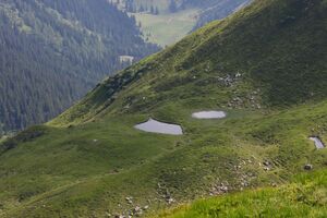 Krottenseen 1001 13-08-05.jpg