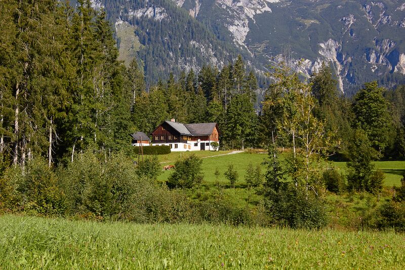 Datei:Lerchmoar birnberg-0001-2021-09-02.jpg