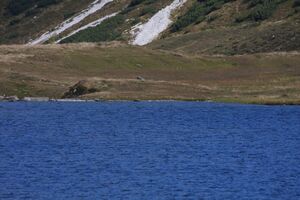 Oberhüttensee 2121 2009-10-05.jpg