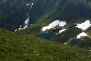 Riednerseen 65447 2014-06-26.jpg
