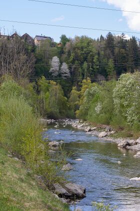 Sölkbach SteinEnns-0107-2025-04-27.jpg