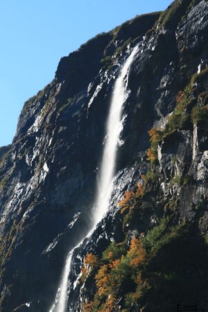 SchleierwsfIMG 1553.jpg