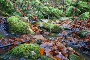 Siebenbrunnen toplitzsee 78189 2014-11-03.jpg