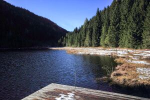 Spechtensee 62887 2017-10-31.jpg