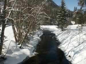 Untertalbach 7130 2005-02-23.jpg