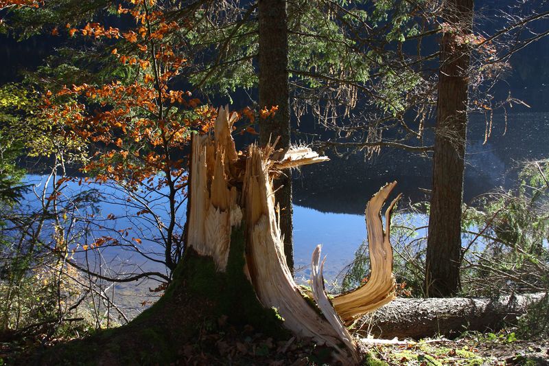 Datei:Ödensee 78097 2014-11-03.jpg