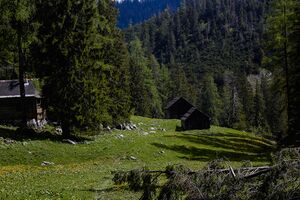 Ausseer Teltschenalm-128-2020-05-27.jpg