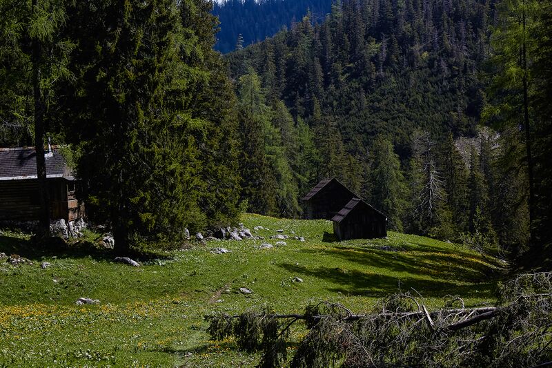 Datei:Ausseer Teltschenalm-128-2020-05-27.jpg
