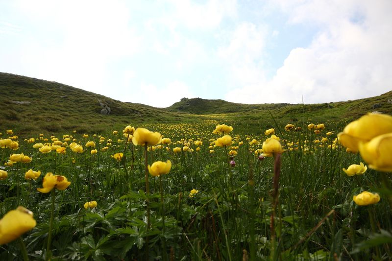 Datei:Blaufeldscharte 1381 13-07-10.jpg