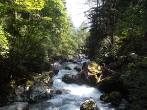 Blick vom Kapuzinrersteg zum Katharakt.JPG