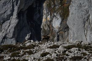 Grimmingtor 37233 2016-11-23.jpg