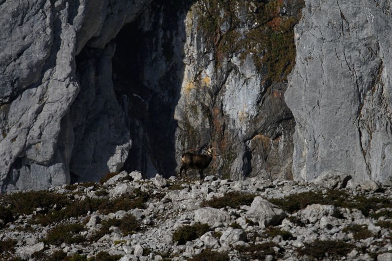 Datei:Grimmingtor 37233 2016-11-23.jpg