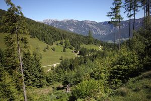 Gumpental zur labeckalm 49652 2017-06-09.jpg