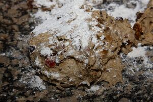 Kletzenbrot 80177 2014-12-11.jpg