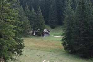 Ramsanger tauplitzalm 34627 2016-09-26.jpg