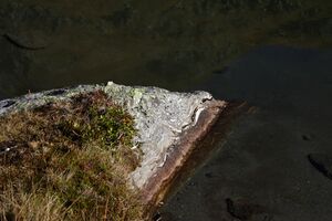 Rantensee 75037 2014-10-19.jpg