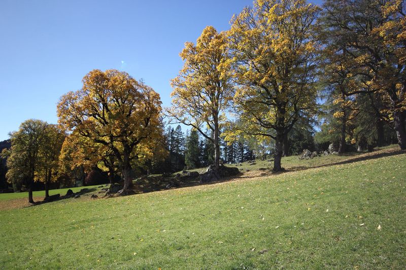 Datei:Schildlehen ramsau 60244 2017-10-05.jpg