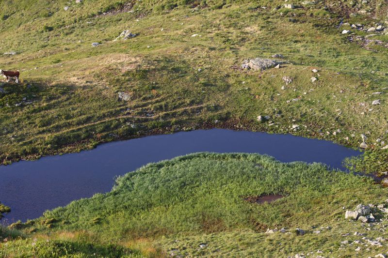 Datei:See glattjoch 59598 2013-08-06.jpg