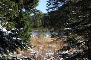 Spechtensee 62898 2017-10-31.jpg