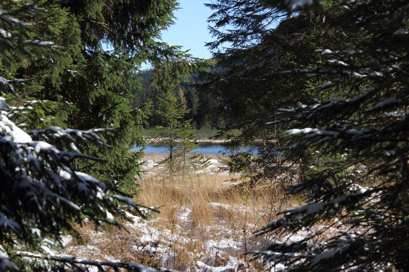 Datei:Spechtensee 62898 2017-10-31.jpg