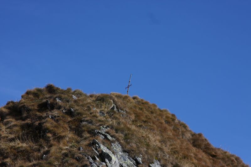 Datei:Stierkarkopf 0200 2013-10-08.jpg