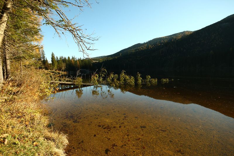 Datei:Ödensee 77969 2014-11-03.jpg