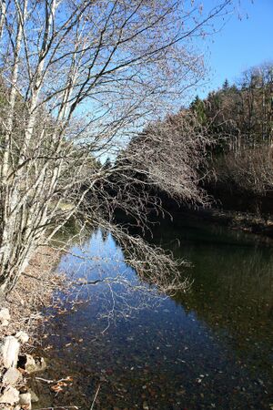 Almseeteich burgstaller 13934 2015-11-12.jpg