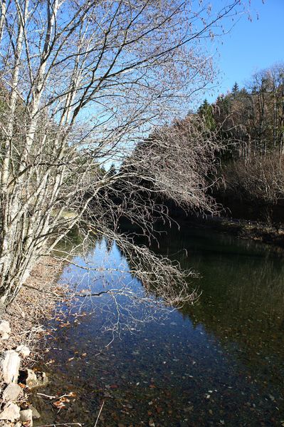 Datei:Almseeteich burgstaller 13934 2015-11-12.jpg