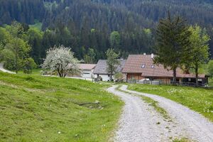 BH wolfbauer johnsbach-2003-2020-05-18-2.jpg