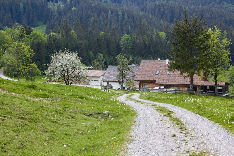 Datei:BH wolfbauer johnsbach-2003-2020-05-18-2.jpg