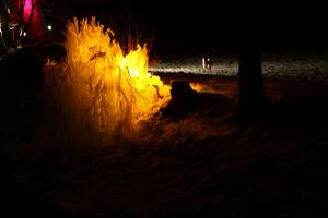Eiswelt pruggern 15814 2016-01-08.jpg