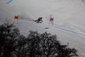 Faivre-nightrace RTL 2023-0078-2023-01-25.jpg