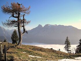 Grabneralm8326.JPG