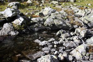 Holzkarsee 72440 2014-09-17.jpg